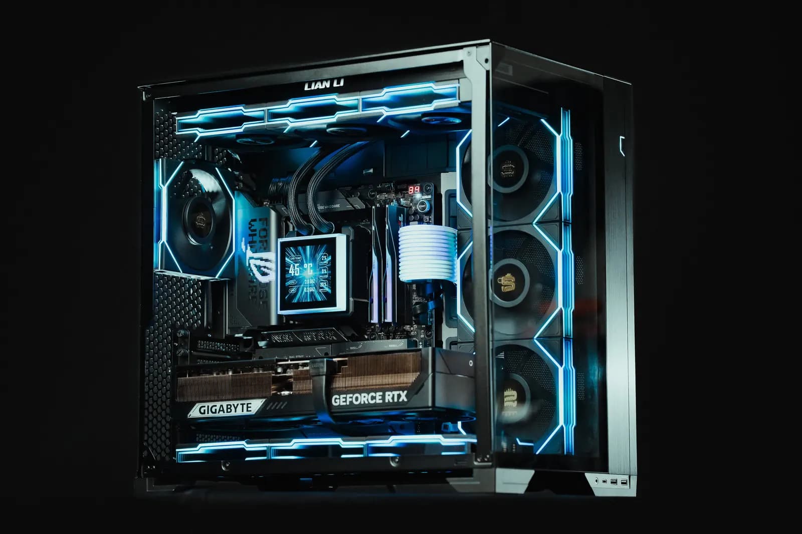 fuerza-regida build